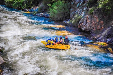 Numbers Half-Day Whitewater Rafting plus Mountaintop Zipline from Buena Vista