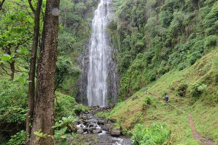 Private Materuni and Chemka Hotspring Tour