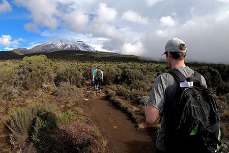 Kilimanjaro Day Hike Marangu Route