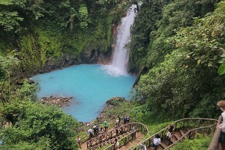 "Rio Celeste Waterfall, Peace Tree Encounter & Sloth Adventure"