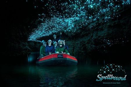 From Auckland : Spellbound Glow Worm Twin Caves Private Tour 