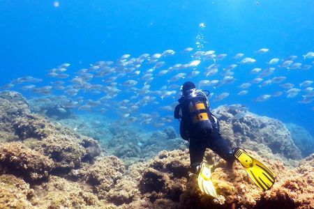 Scuba Diving for Beginner and Experts in Pefkos Lindos 