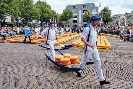 Alkmaar Cheese Market and North Holland Friday Tour