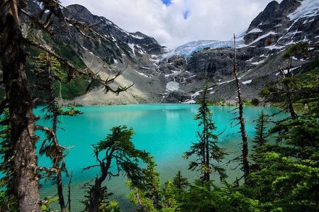 Whistler, Brandywine Falls, and Joffre Lakes Private Tour