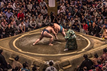 Sumo Tournament Experience in Osaka