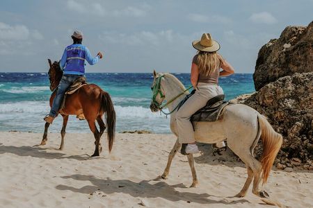 Aruba North Coastline: Small-Group Horseback Riding Tour