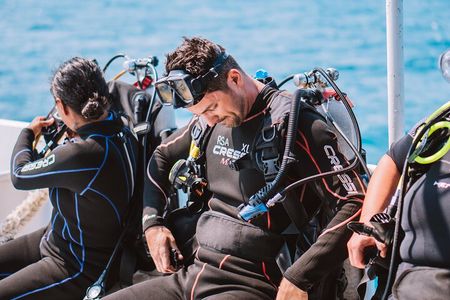 Aruba Guided Night Dive Adventure: Shallow Reefs or Shipwrecks