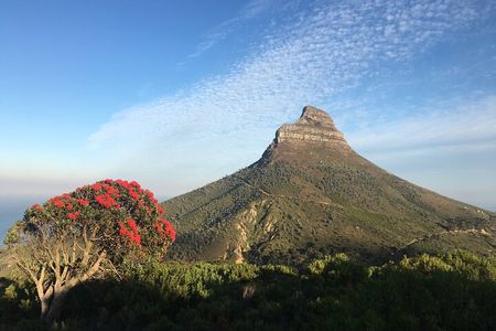 Lion's Head Hike-sunrise/sunset with professional private guide 
