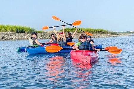 2 1/4 Hour Private Kayak Hilton Head Dolphin Nature Experience