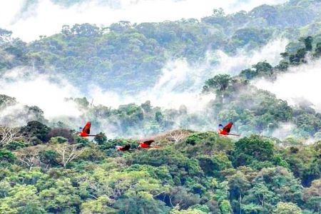 Carara National Park Admission Ticket