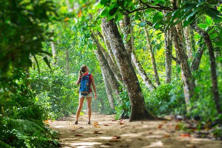 Carara National Park Admission Ticket