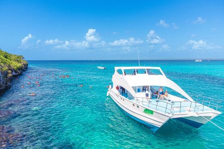 Full-Day Excursion to Discover Catalina Island with Lunch Option 