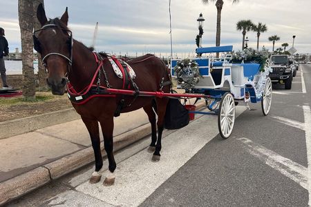 Classic Horse-Drawn Carriage Tour