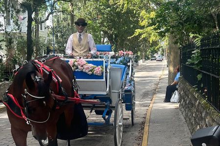 Classic Horse-Drawn Carriage Tour
