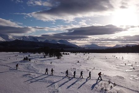 Guided easy snowshoeing with a visit to local café