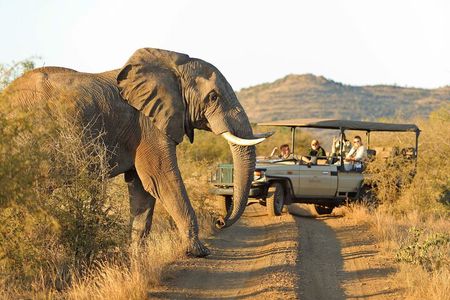 3-Day Big Five Madikwe Safari from Johannesburg