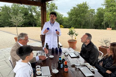 Montalcino: Renowned Tuscan Olive Oil Mill Tour & Tasting 