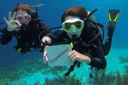Discover Scuba Diving in Diver's Paradise!