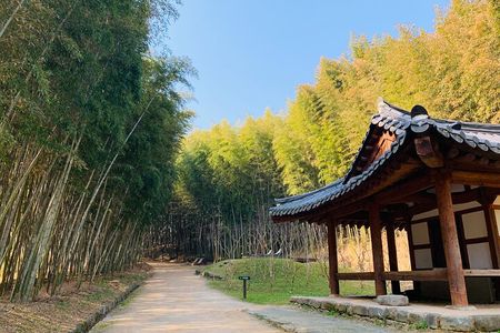 Damyang Bamboo Forest Tour (Private)
