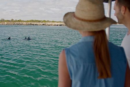 Guided Dolphin Eco-Cruise in Koombana Bay