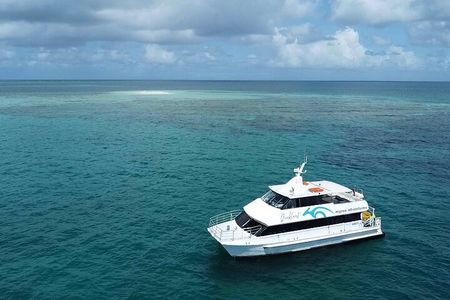 Cairns: Small Group | Outer Reef Snorkel & Dunk Island