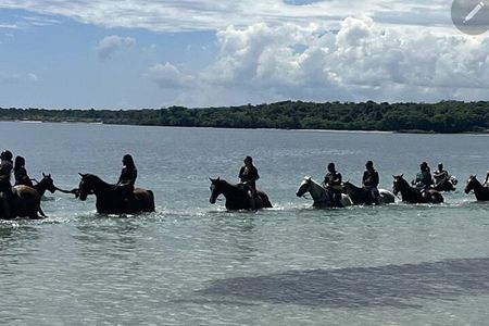 Bamboo Rafting and HorseBack Riding Excursion in OchoRios Jamaica