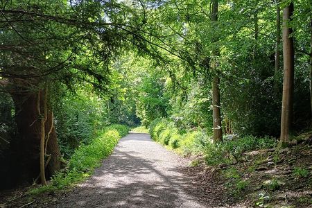 Blenheim and Woodstock Ebike Tour