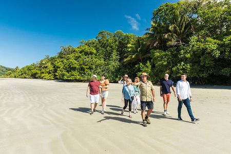 Cairns Super Saver: Reef Cruise, Daintree & Kuranda Rail/Skyrail