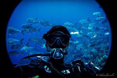 Cruise Guest Try Scuba Diving for Uncertified Divers w/ Transport