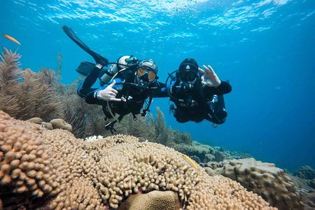 Discover Scuba Diving in Diver's Paradise!