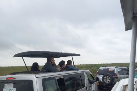 Wildlife safari at Nairobi National Park