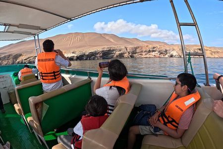 Ballestas Islands, Vineyards and Buggies in Huacachina from Paracas