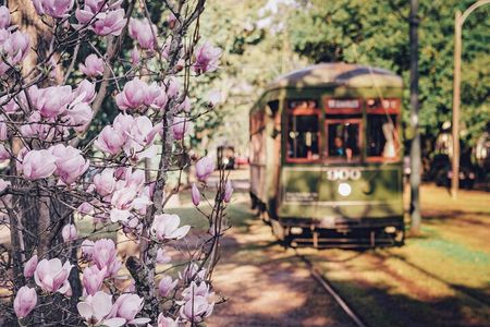 La Vie NOLA! Private Tour of New Orleans - Our Signature Tour!