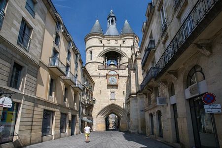 The essential in Bordeaux, private tour with a local 