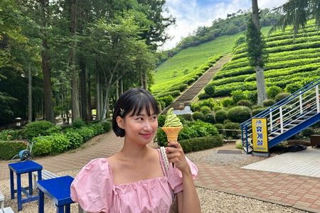 Boseong Tour : Green Tea Field, Mountain & Lake Trail (Private)