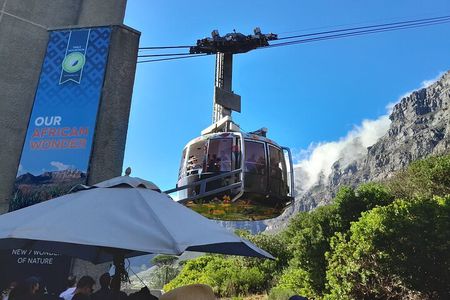 Table Mountain, Penguins, Cape of Good Hope: Private Tour