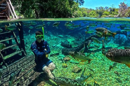 Skip the Line:Recanto Ecologico Rio da Prata Ticket including Trail & Snorkeling