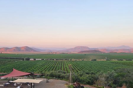 Valle de Guadalupe Wine Trail: Wine Tastings Included