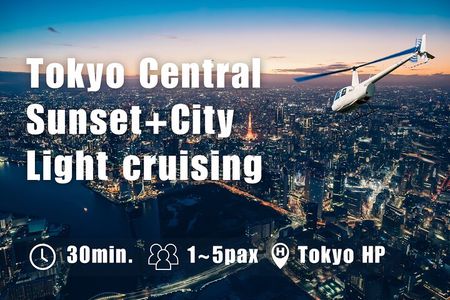 【30mins-5pax】Tokyo Departure: Sunset & Night Cruising Flight