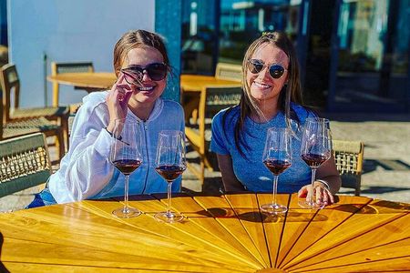 Visit Constantia Wineries + Muzenberg Noordhoek Beaches F/D 
