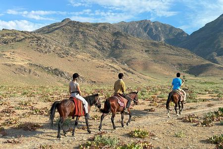 4-Day Horseback Riding Tour in the Nuratau Mountains