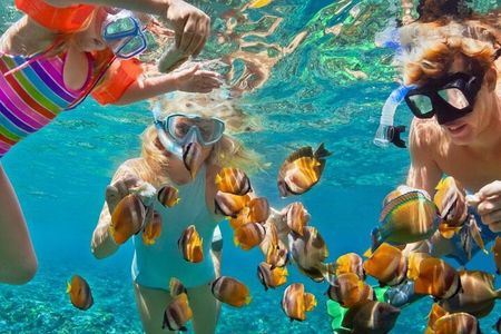 Customize Snorkeling with Option shopping Lunch & Stop local food