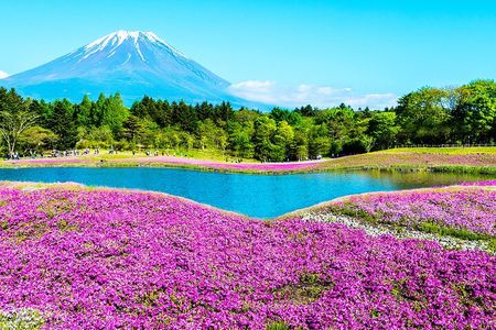 Mt. Fuji 5th, Oshino Hakkai, Onsen Full-Day Trip From Tokyo