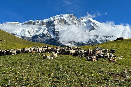 5 Day Siklesh Kori Trek