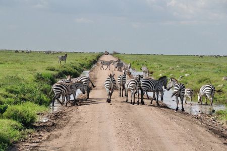 2 Days Camping Group Joining Tarangire Ngorongoro Crater Safari