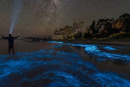 Florida Bioluminescent Kayak & Paddle Board Adventure 
