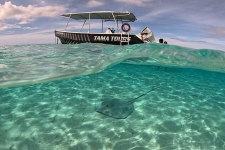 Lagoon Exploration and Snorkeling in Moorea
