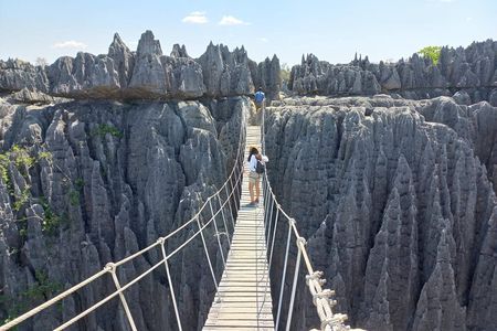 Tsingy of Bemaraha, Kirindy Forest and Avenue of Baobab - 04 Days
