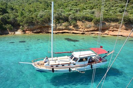 Private Boat Experience in Bodrum Coast with Snorkeling and Coves