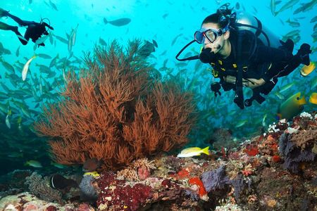 Try Scuba Diving in Kauai From a Boat for Non-Certified Divers